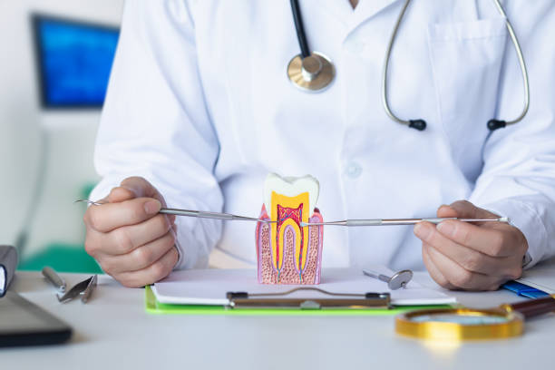Best Emergency Gum Treatment in Hidden Hills, CA